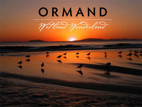 the ormond project