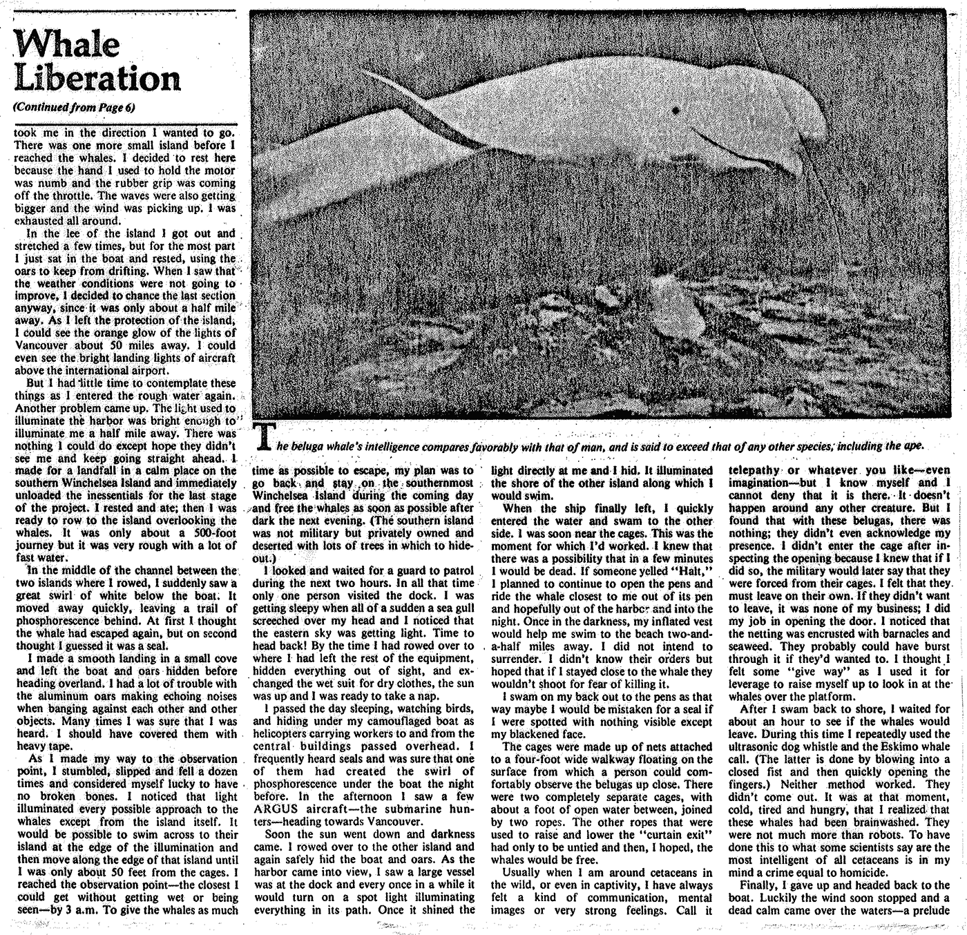 whale liberation patrick wall 3
